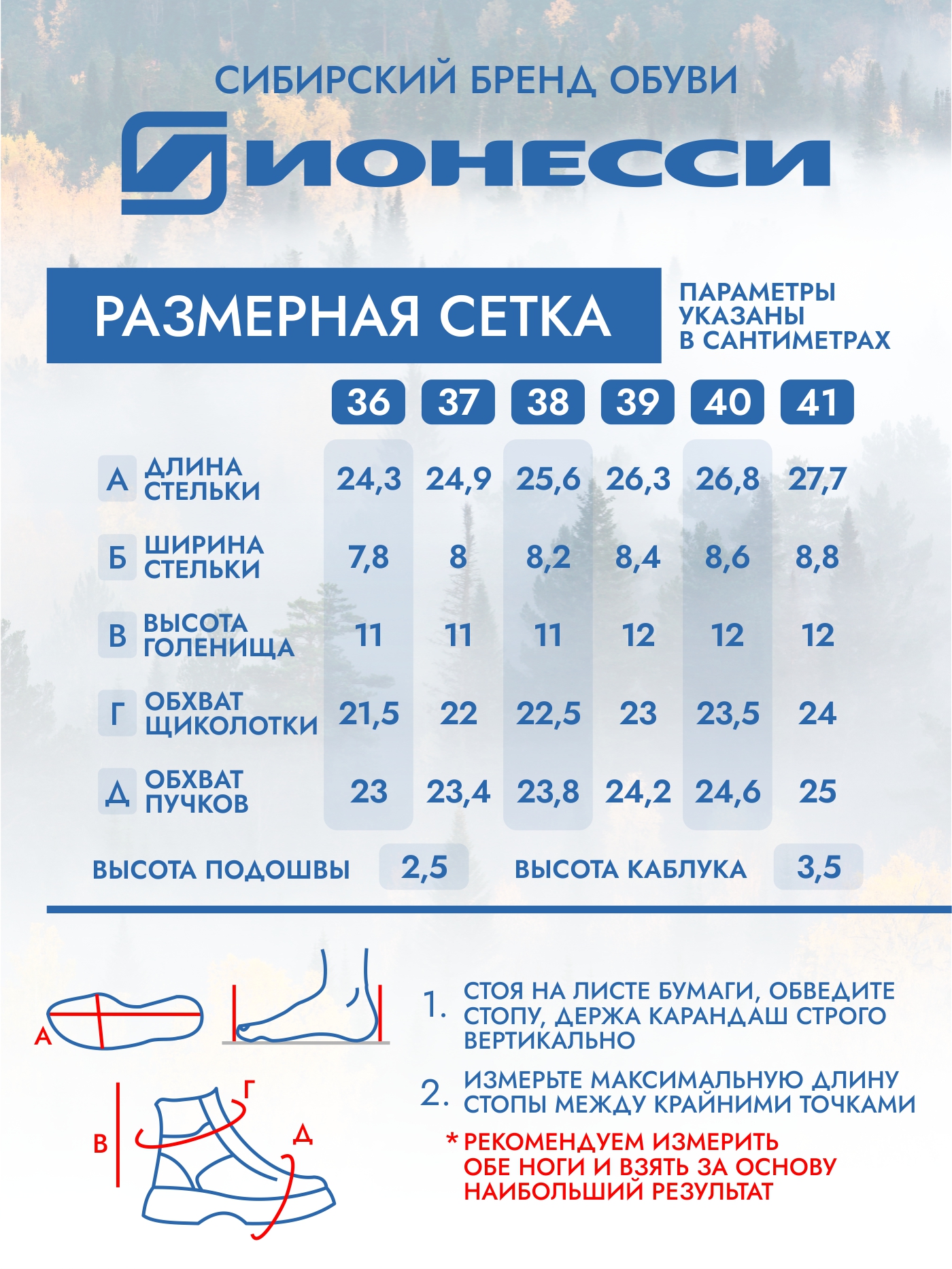 8-4427-441 Ботинки женские Ионесси