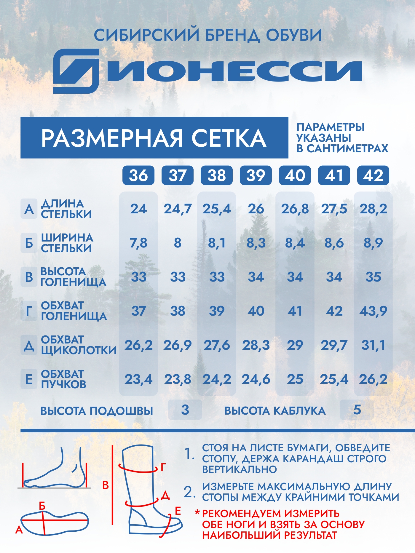 8-4388-041 Сапожки женские Ионесси