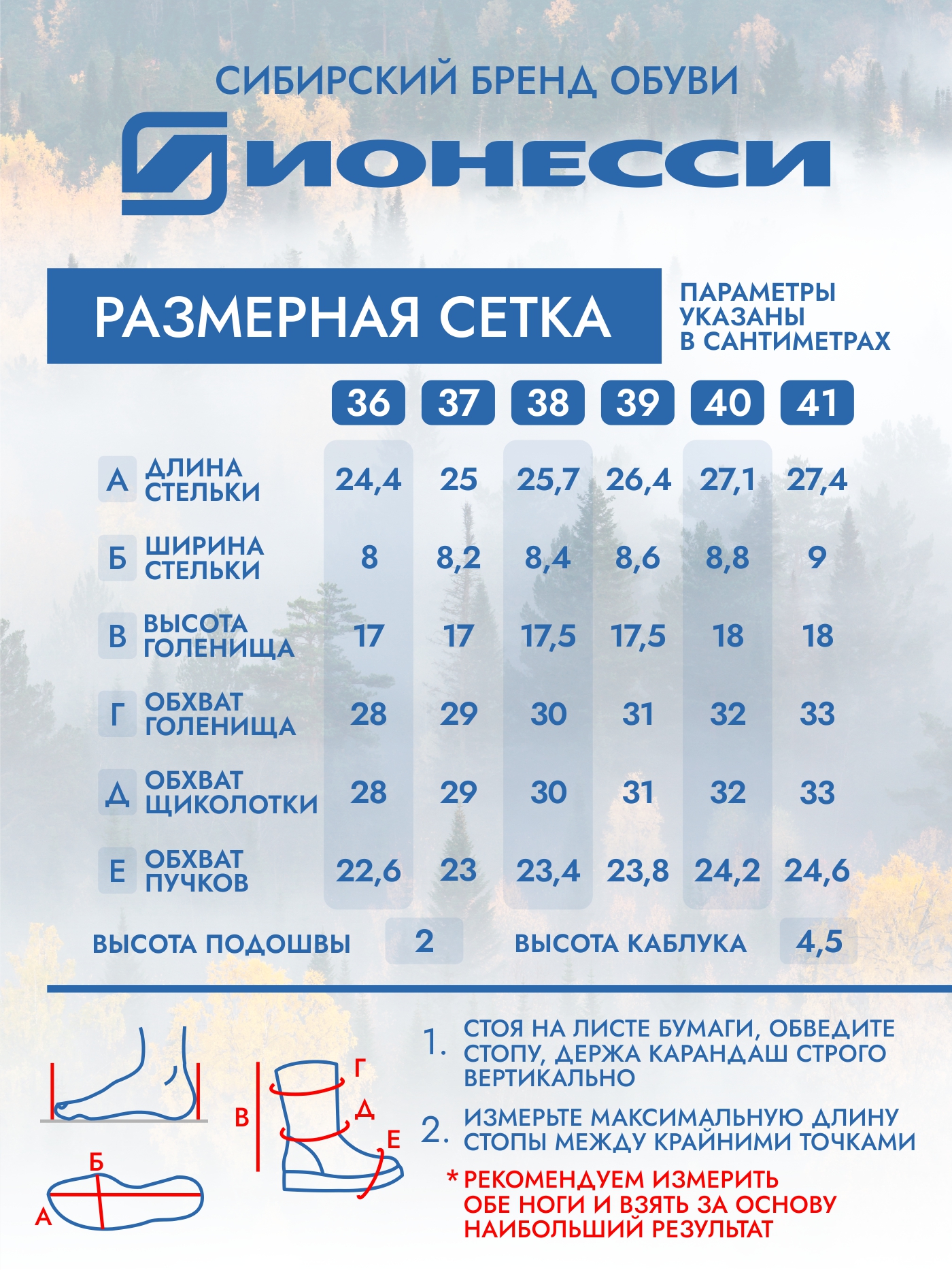 8-4386-442 П/сапожки женские Ионесси