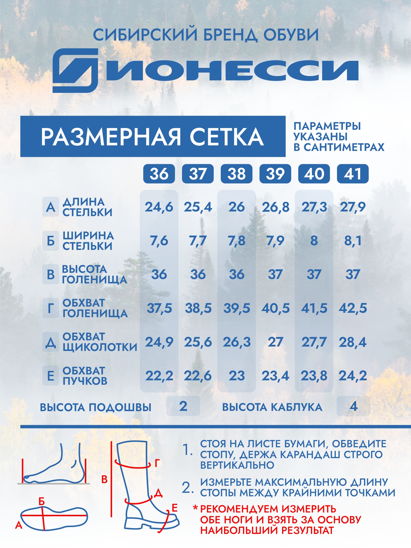 8-4297-042 Сапожки женские Ионесси