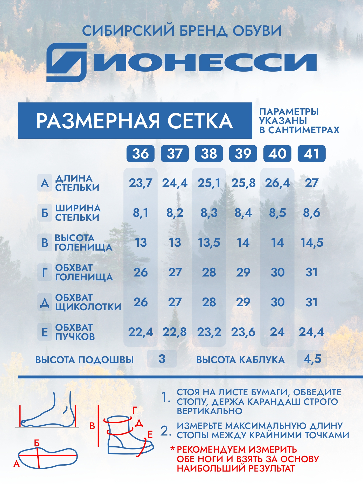 8-4419-042 Ботинки женские Ионесси
