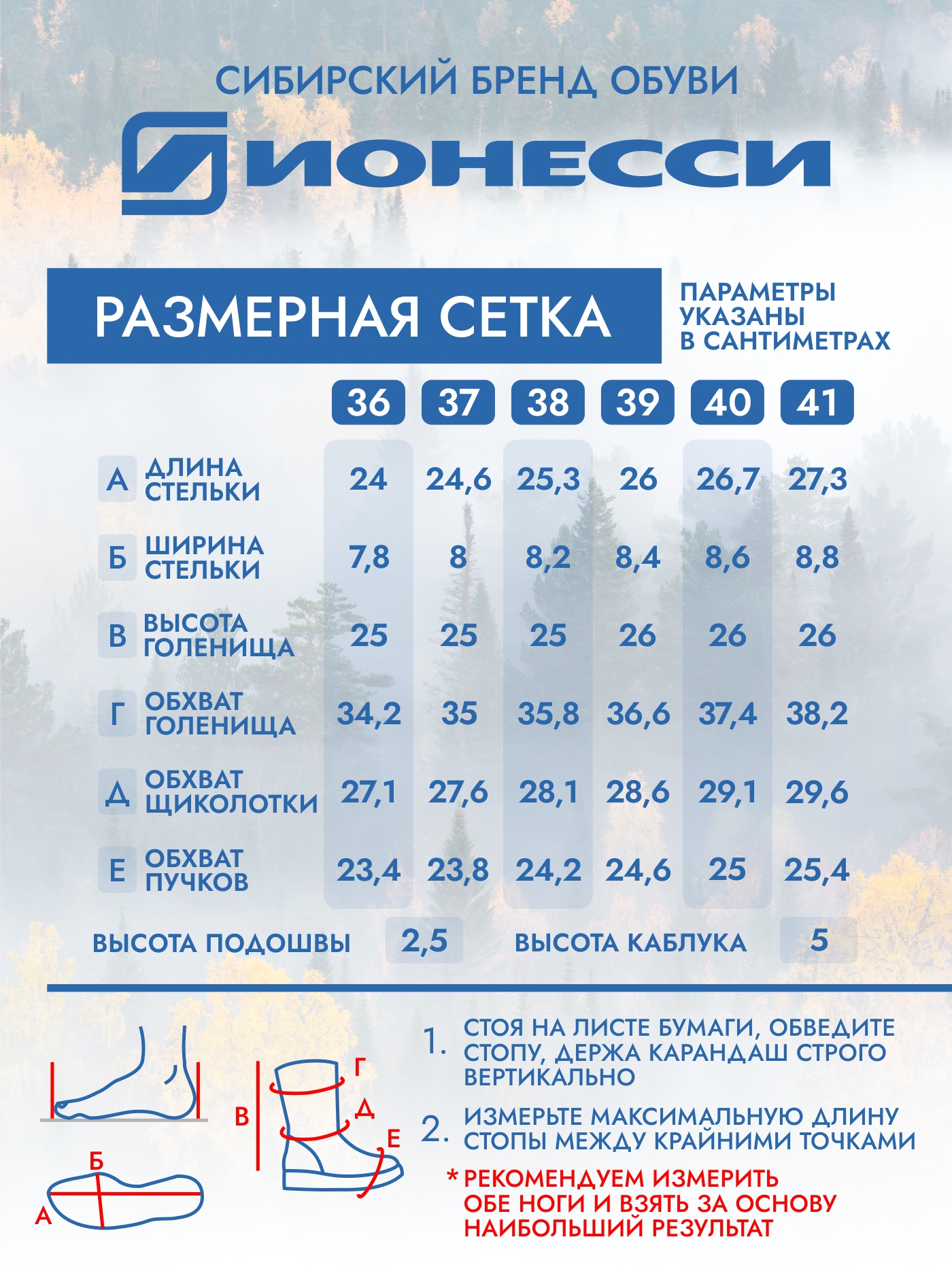 8-4113-041 П/сапожки женские Ионесси