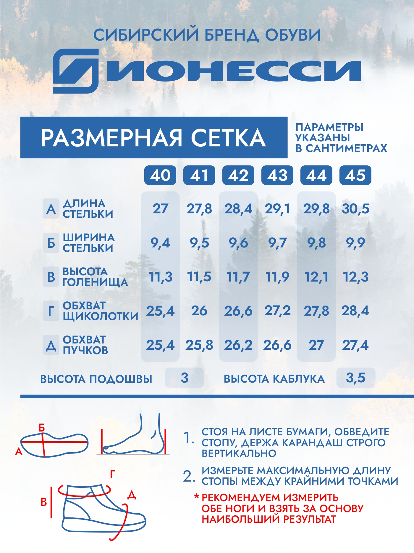 9-3950-029 Ботинки мужские Ионесси