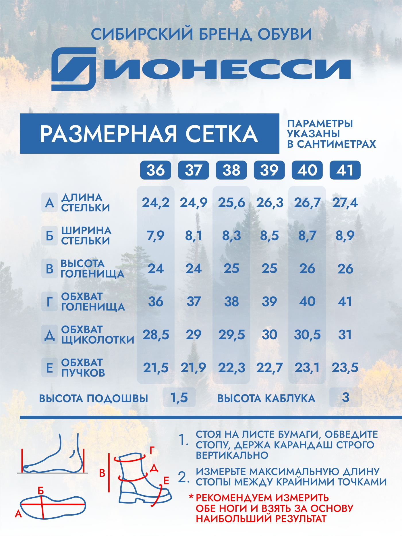 8-4428-041 Сапожки женские Ионесси