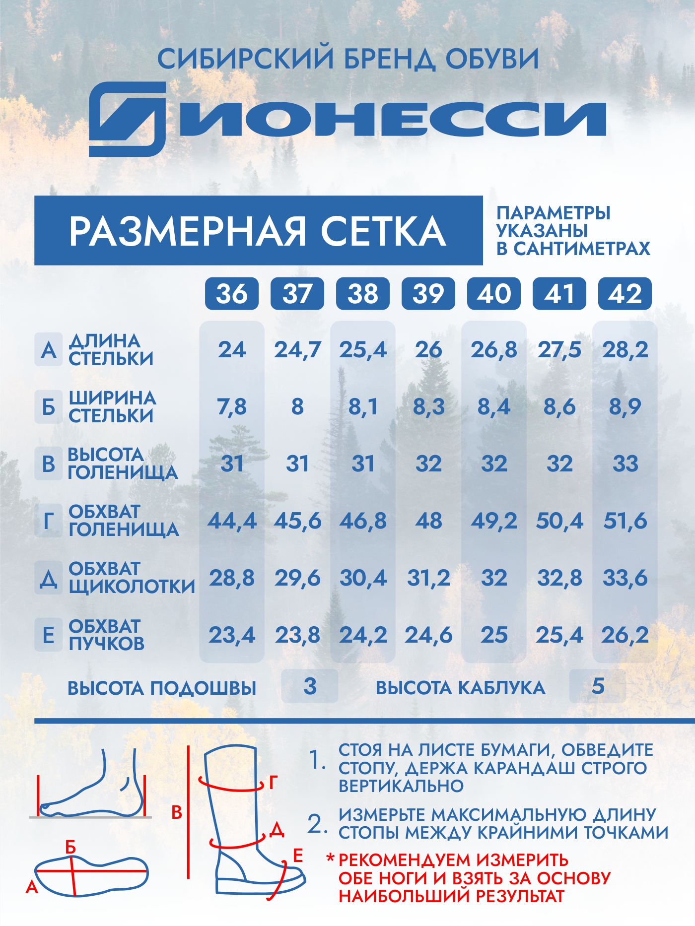 8-4395-041 Сапожки женские Ионесси