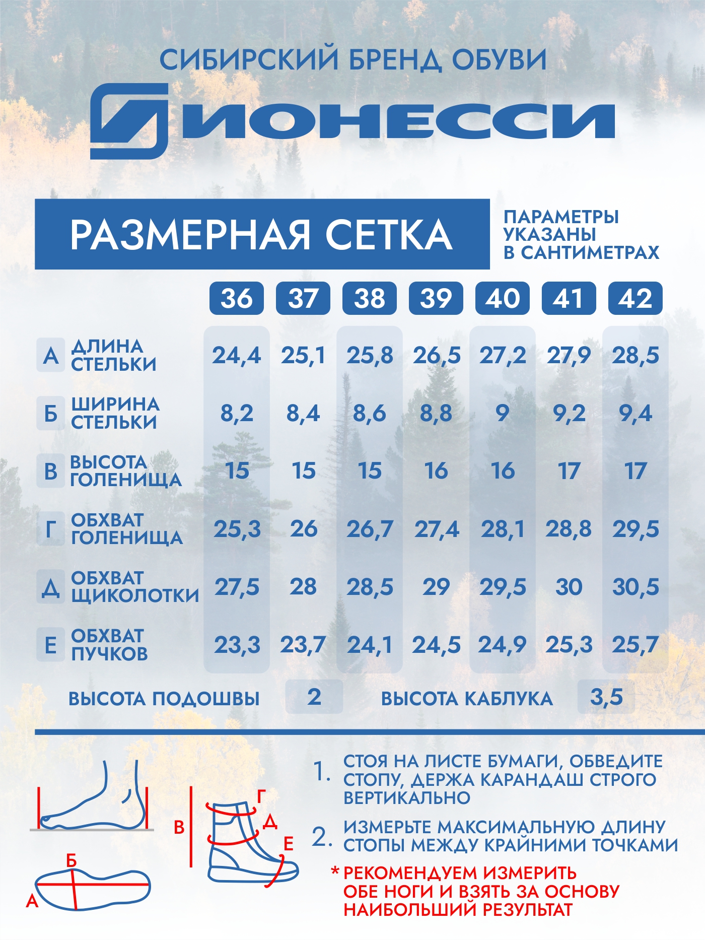8-4224-041 Ботинки женские Ионесси
