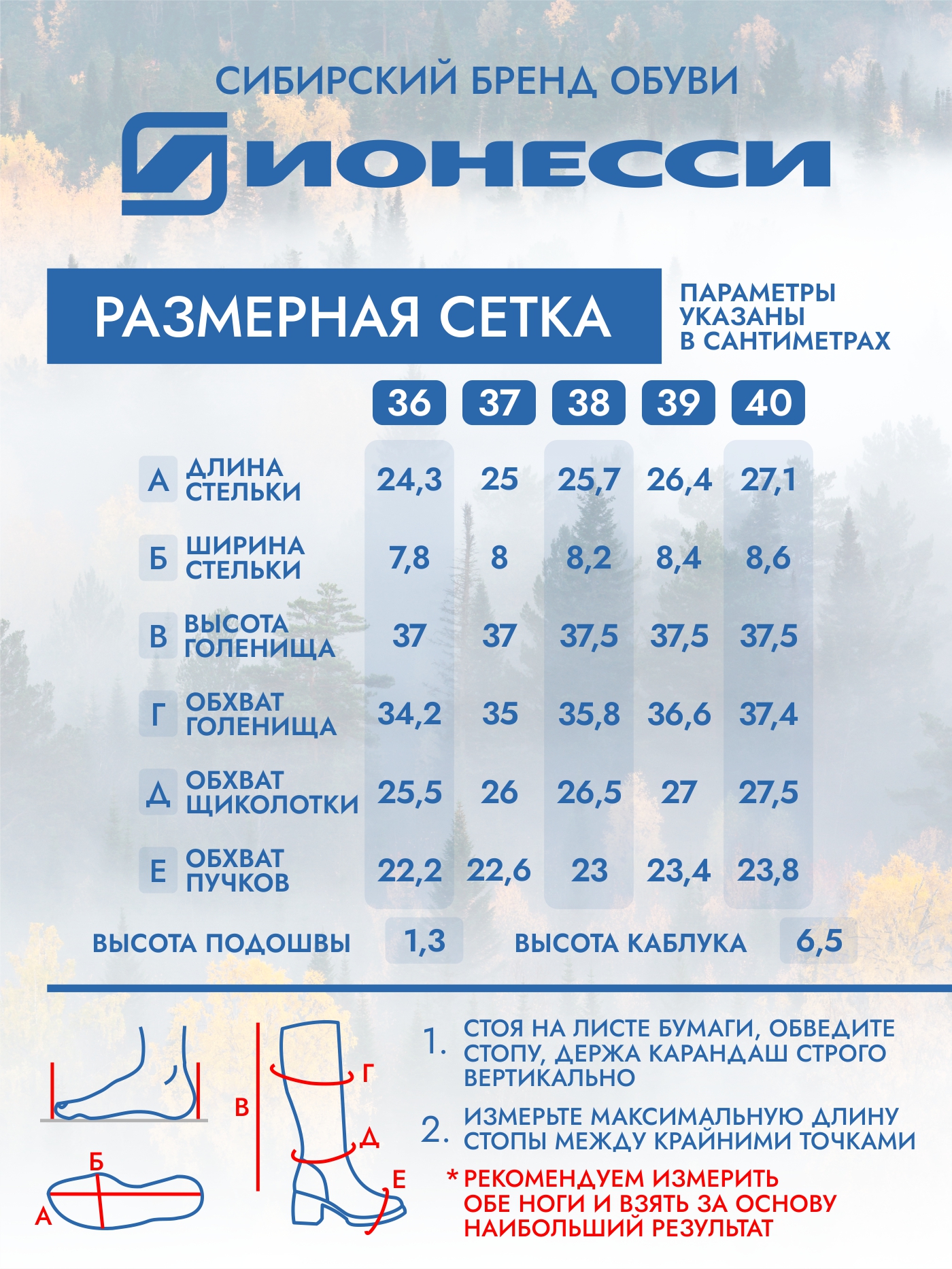 8-4370-022 Сапожки женские Ионесси