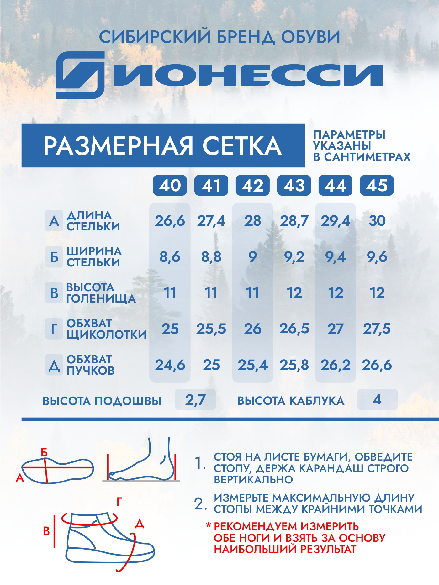 9-3977-441 Ботинки мужские Ионесси