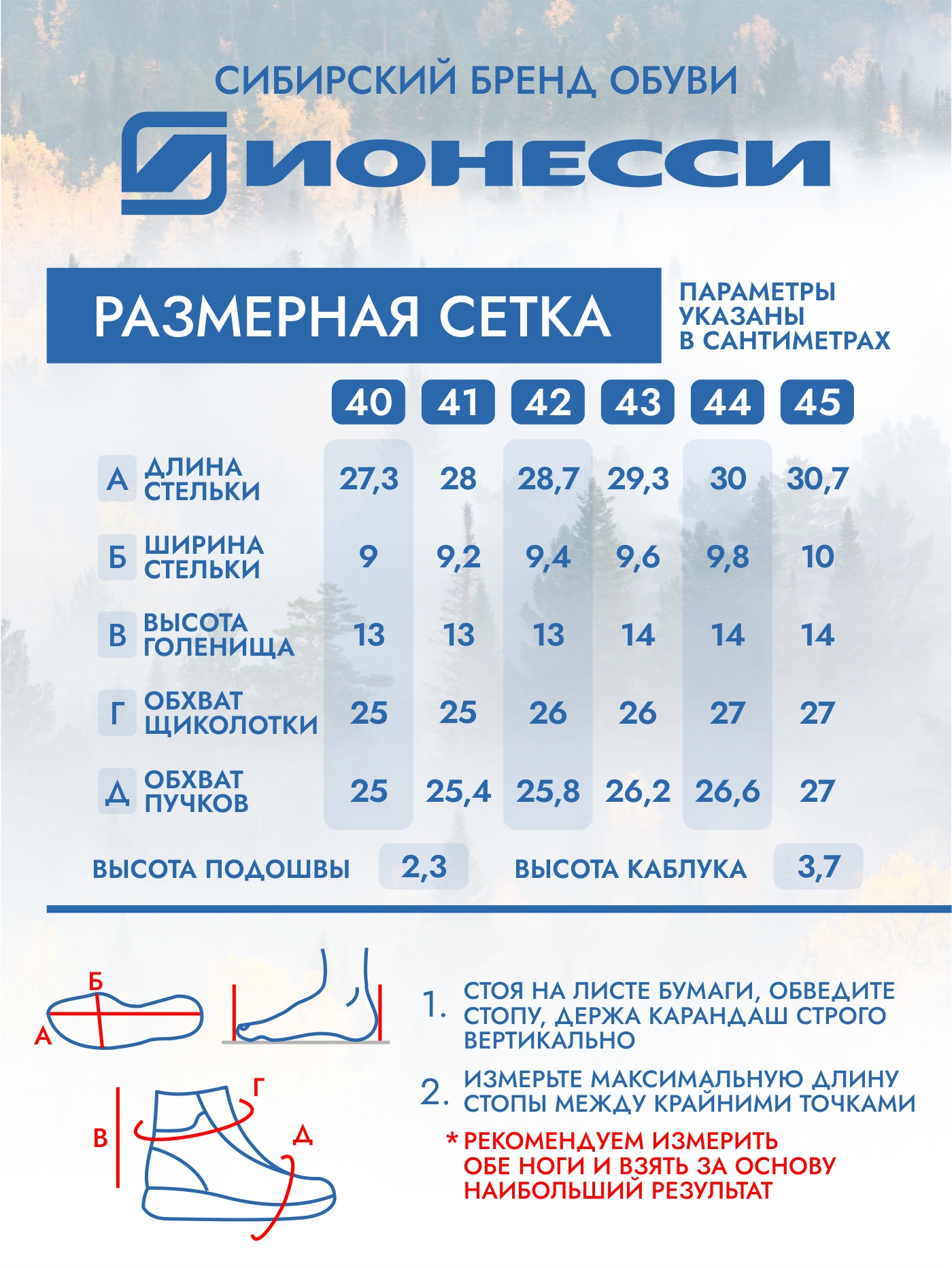 9-3981-041 Ботинки мужские Ионесси