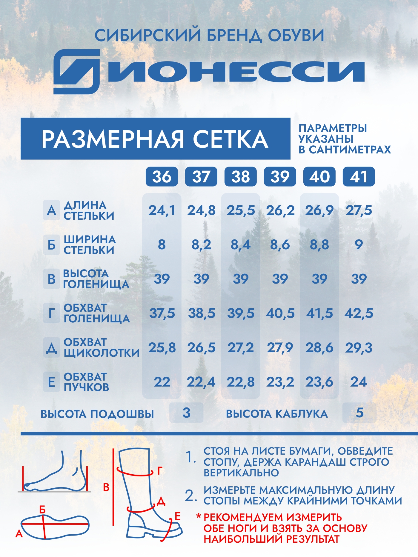 8-4394-041 Сапожки женские Ионесси