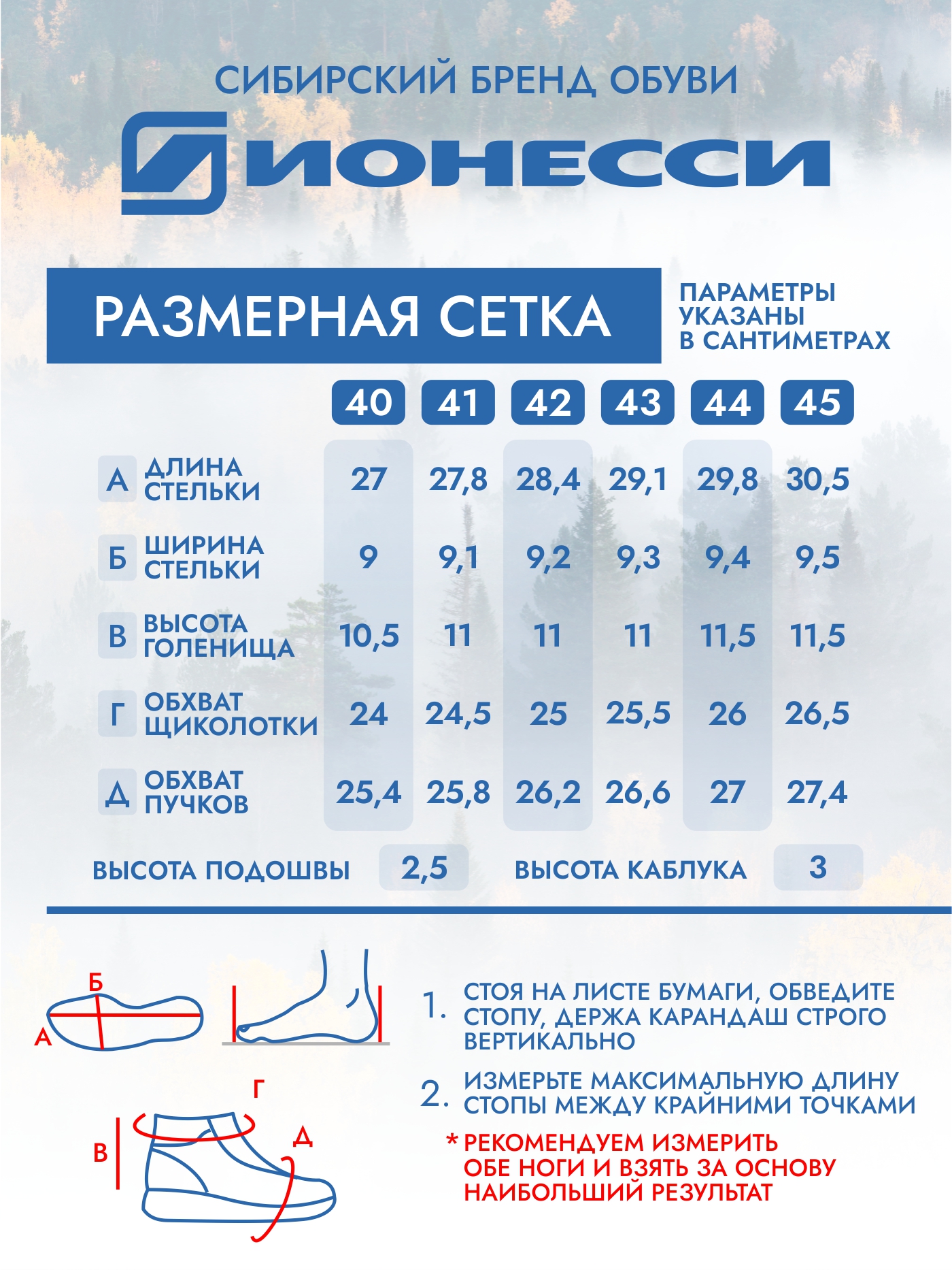 9-3987-021 Ботинки мужские Ионесси