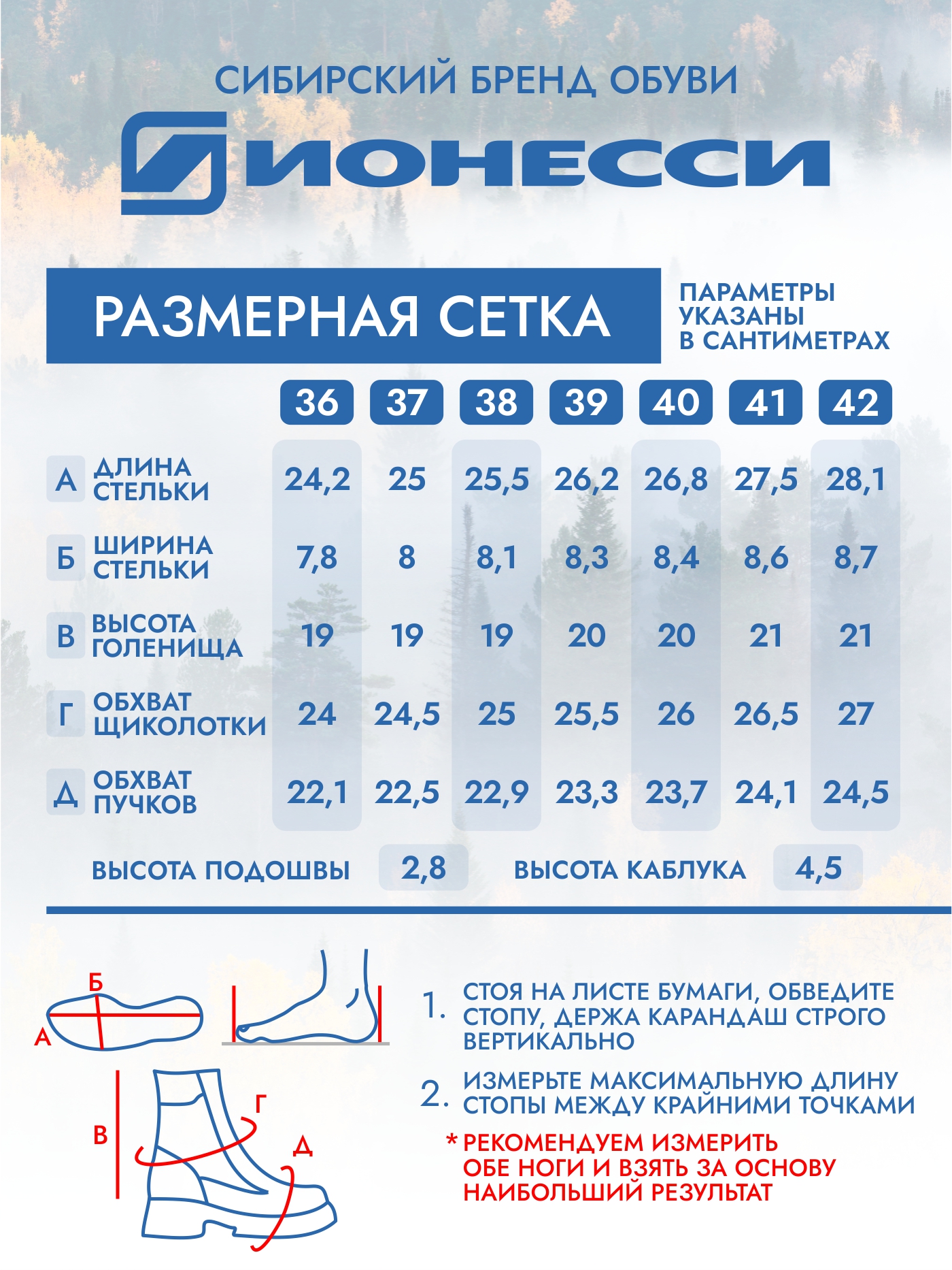 8-4425-441 Ботинки женские Ионесси