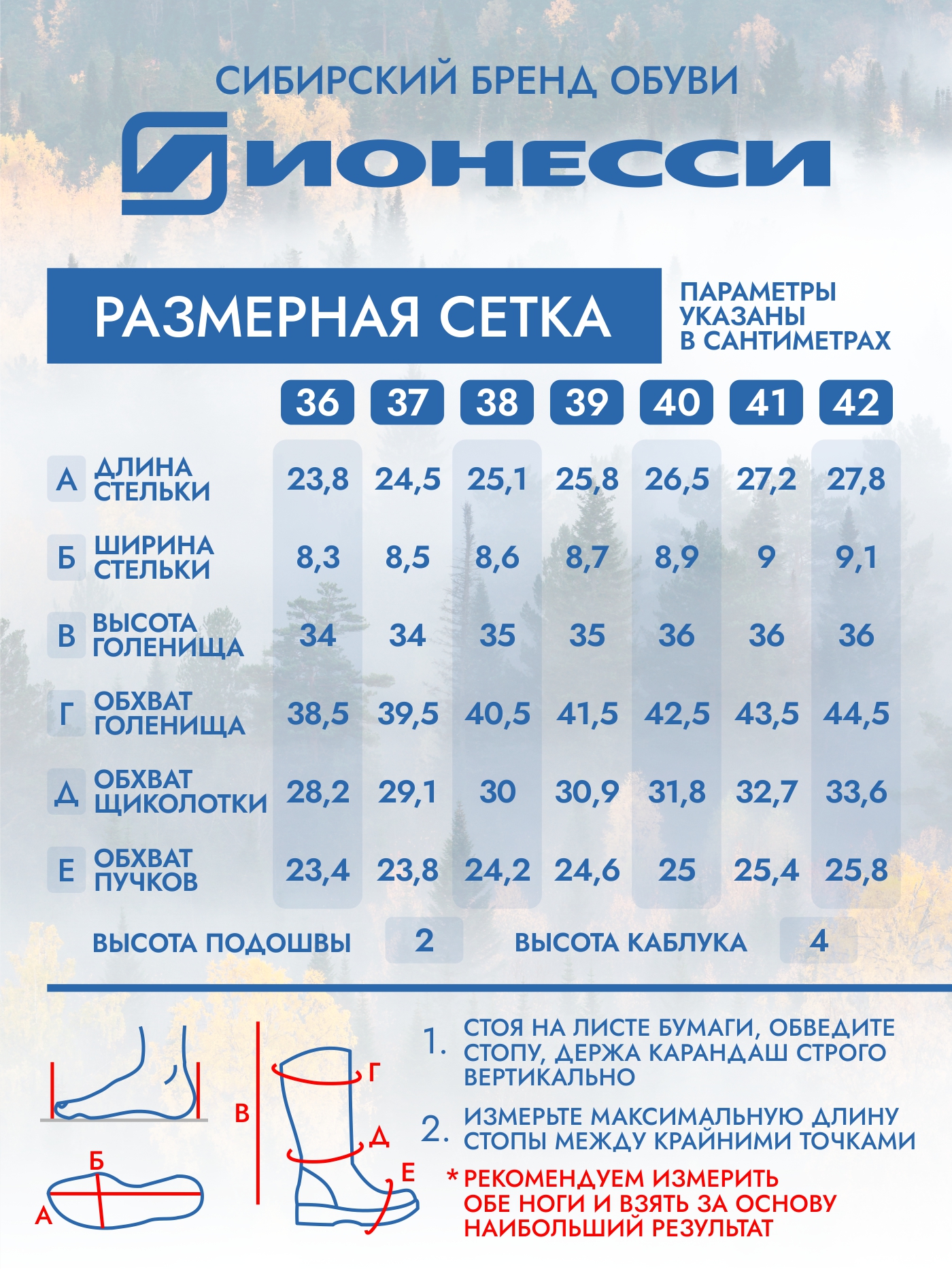 8-4174-041 Сапожки женские Ионесси