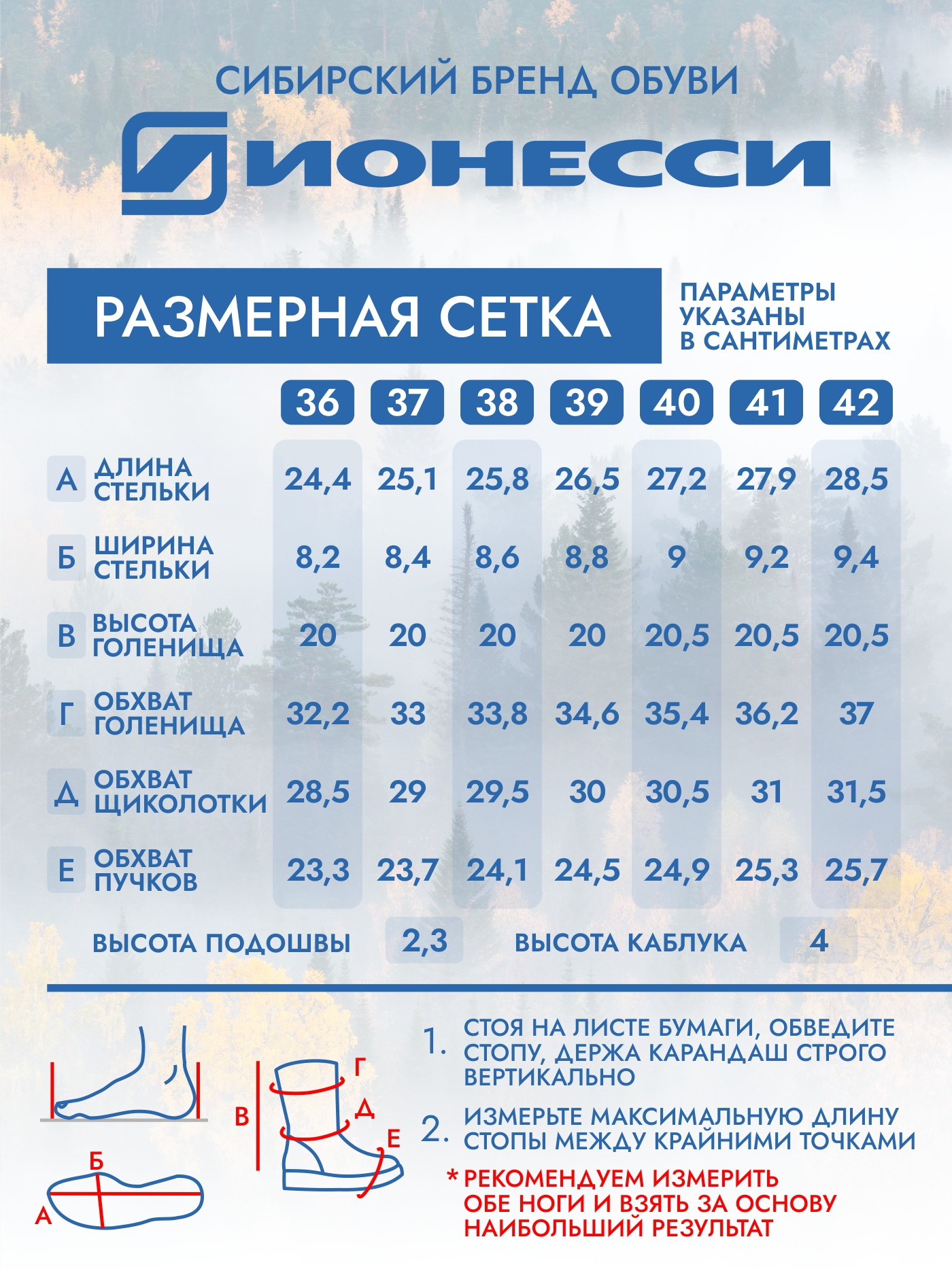 8-4187-041 П/сапожки женские Ионесси