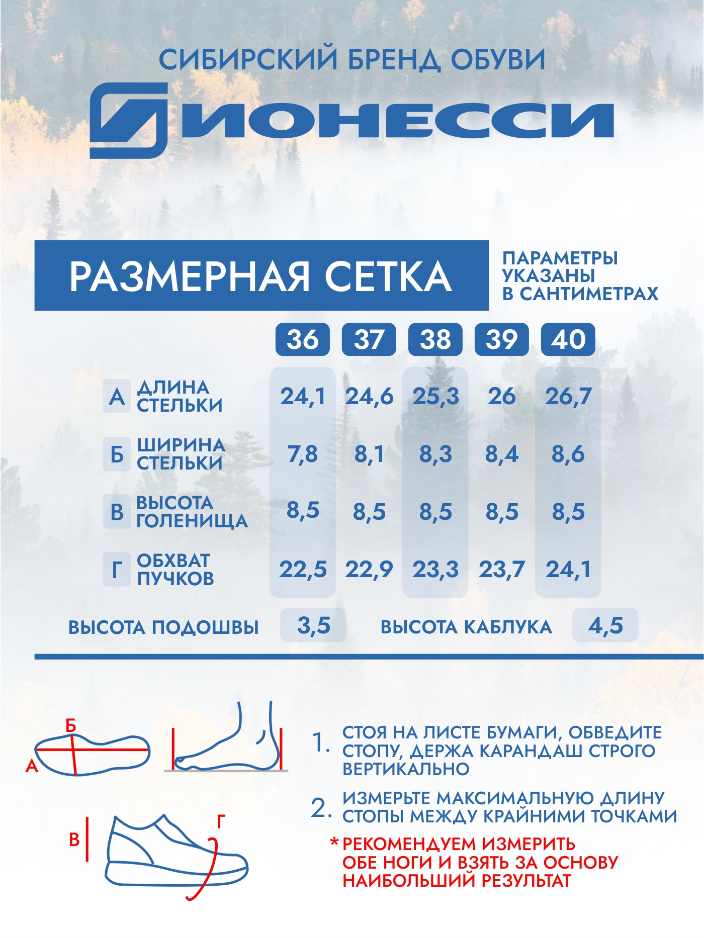 8-4406-041 Ботинки женские Ионесси