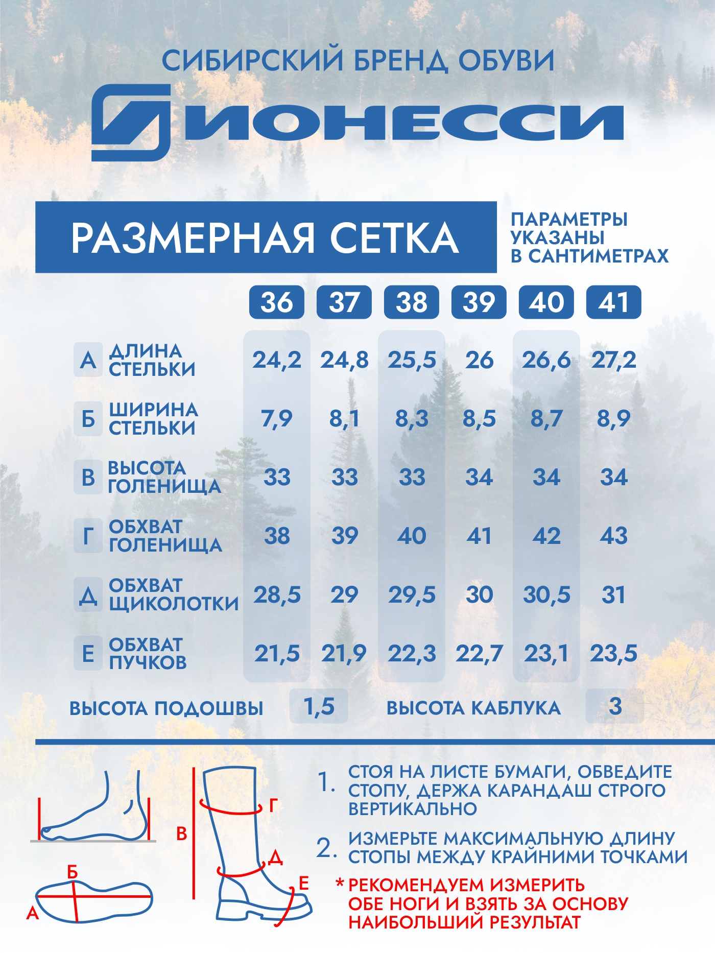 8-4405-041 Сапожки женские Ионесси